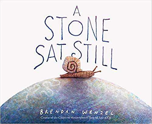 A Stone Sat Still book cover image