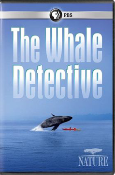 The Whale Detective