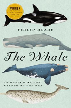 The Whale 