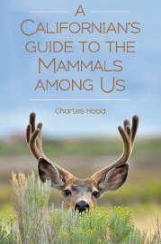 A Californian's Guide to the Mammals Among Us