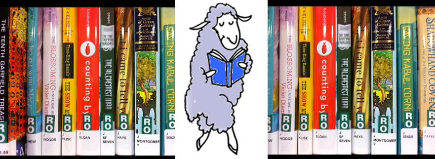 Sheep Reading Books