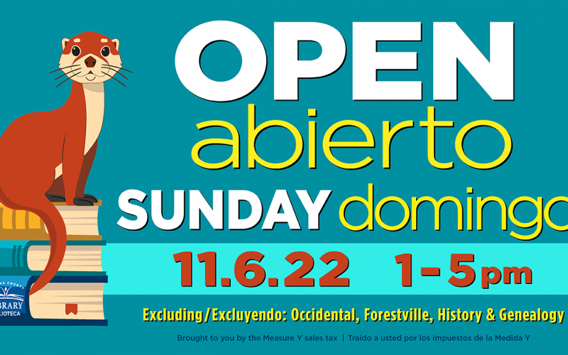 Open Sundays