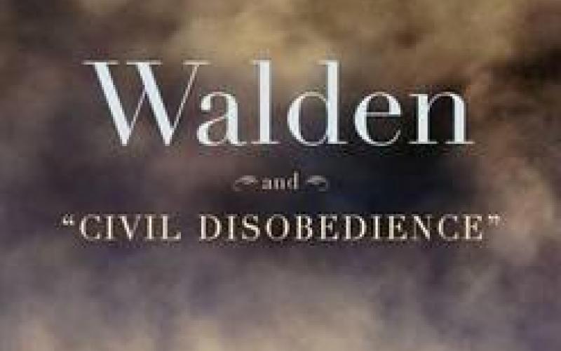 Walden book cover