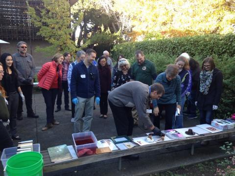 Photo caption: Library staff and other organizations participate in the WESTPAS Protecting Cultural Collections