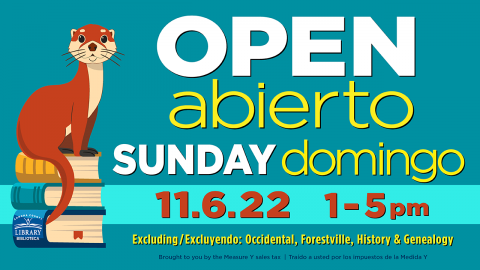 Open Sundays