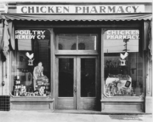 Chicken Pharmacy, Petaluma, Calif. photo