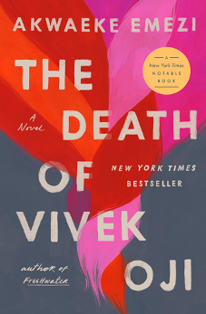 The Death of Vivek Oji